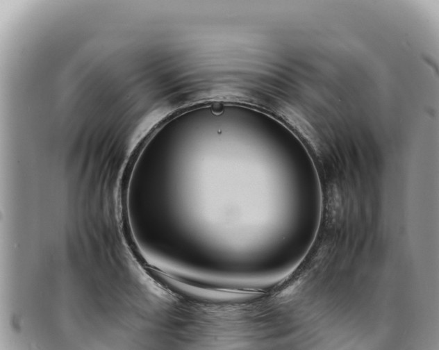 X0000094931082200711291329