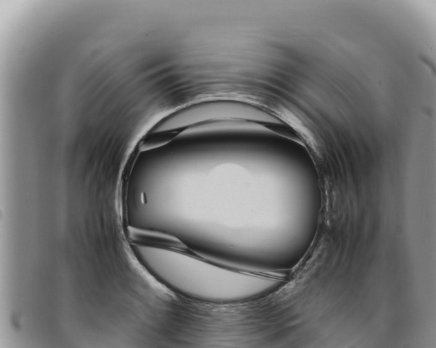 X0000094931084200711291329