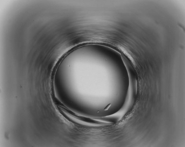 X0000094931085200711291329