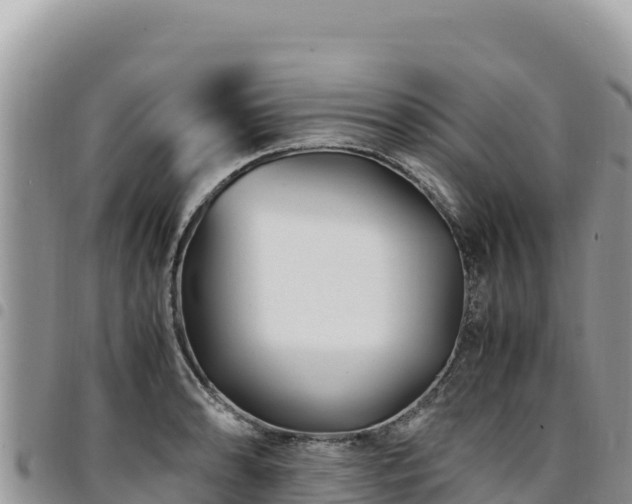 X0000094931086200711291329