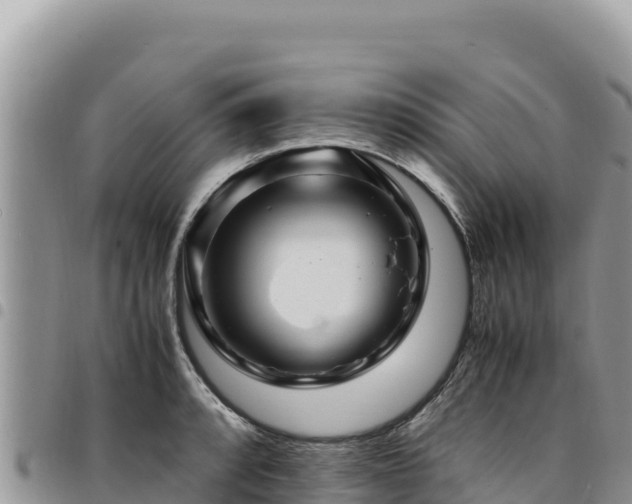 X0000094931088200711291329
