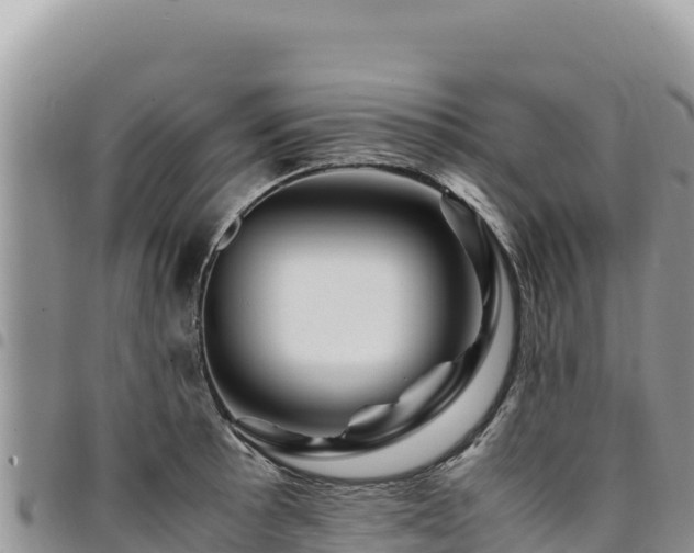 X0000094931089200711291329
