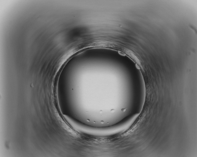 X0000094931091200711291329