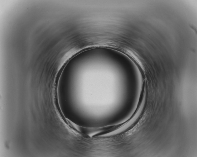 X0000094931093200711291329