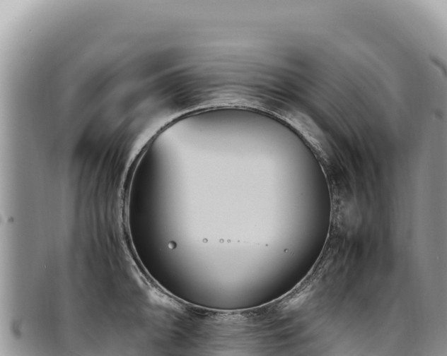 X0000094931094200711291329