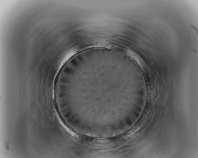 X0000094931095200711291329