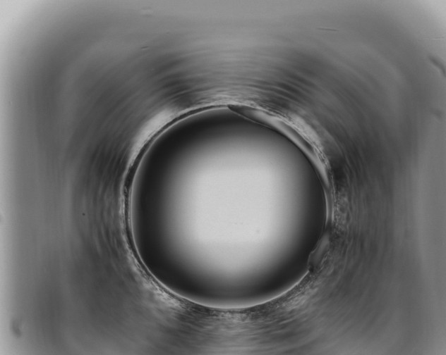 X0000094931096200711291329
