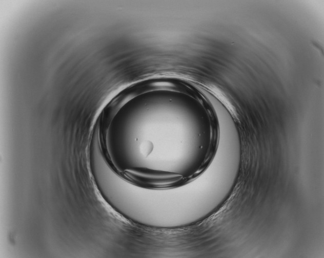 X0000094931100200711291329