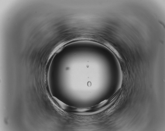 X0000094931101200711291329