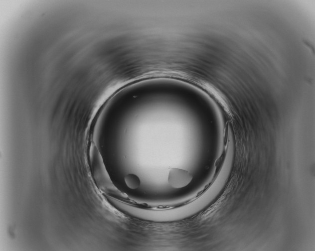 X0000094931102200711291329