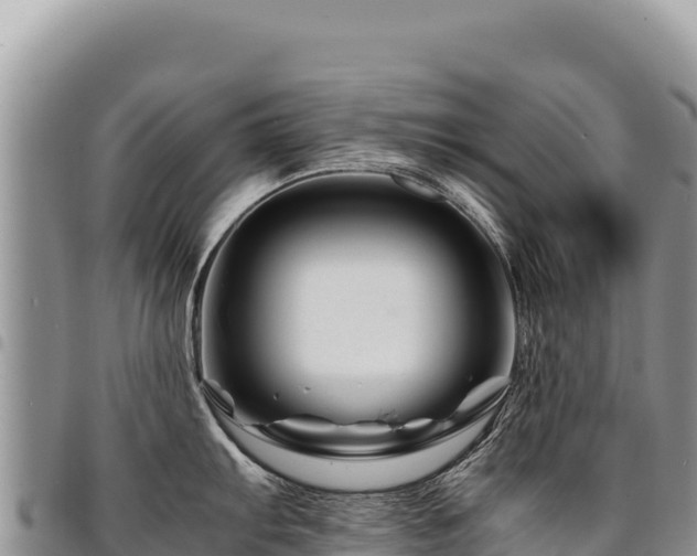 X0000094931103200711291329