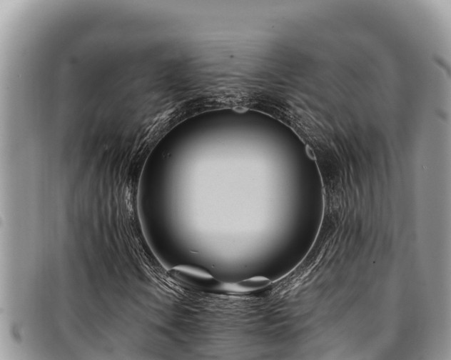 X0000094931106200711291328
