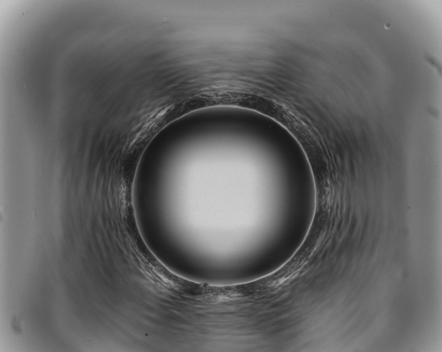 X0000094931108200711291328