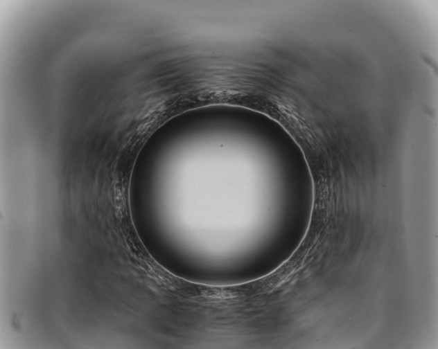 X0000094931109200711291328