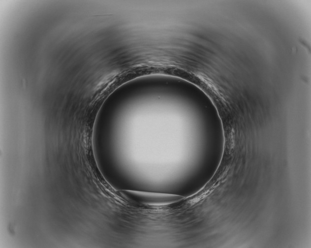 X0000094931110200711291328