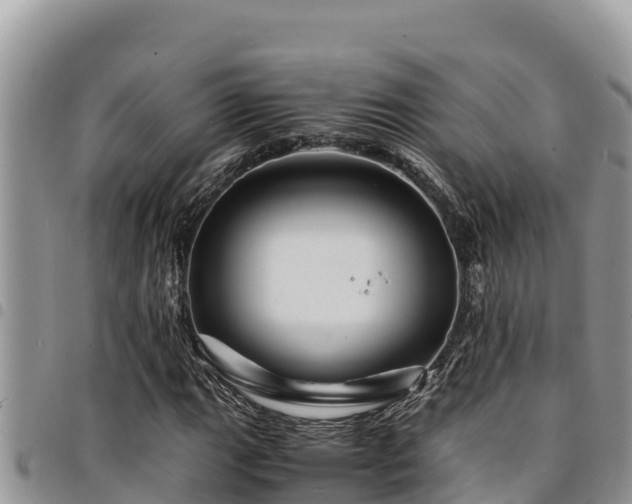 X0000094931111200711291328