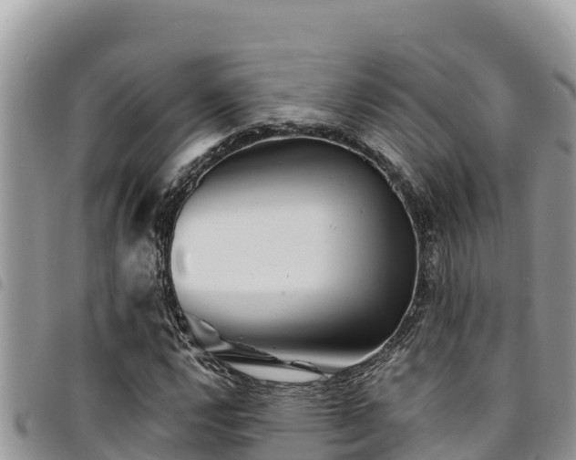 X0000094931112200711291328