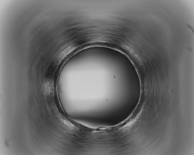 X0000094931113200711291328