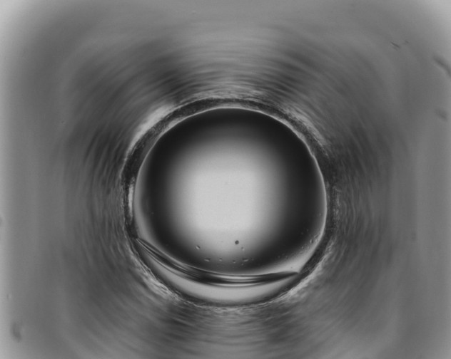 X0000094931114200711291328