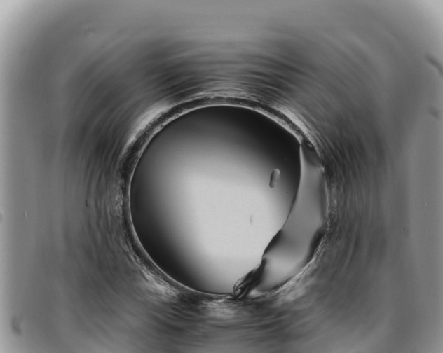 X0000094931115200711291328