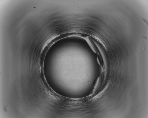 X0000094931117200711291328