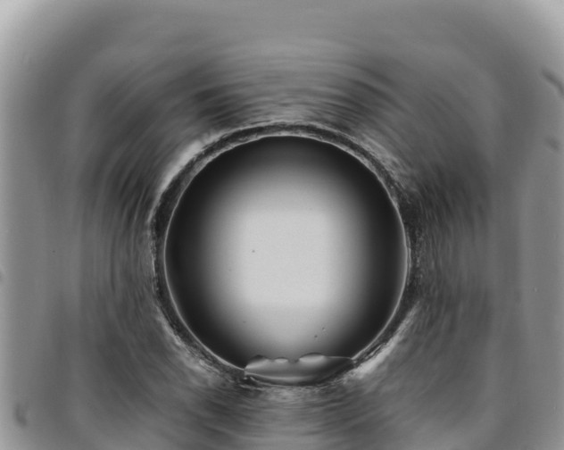 X0000094931118200711291328