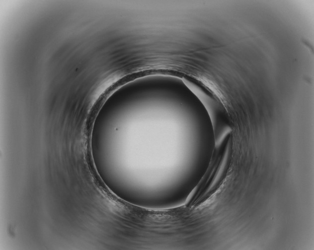 X0000094931119200711291328