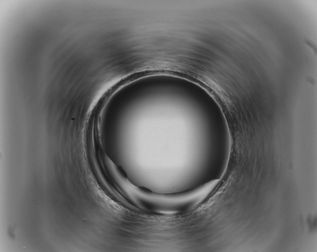 X0000094931120200711291328