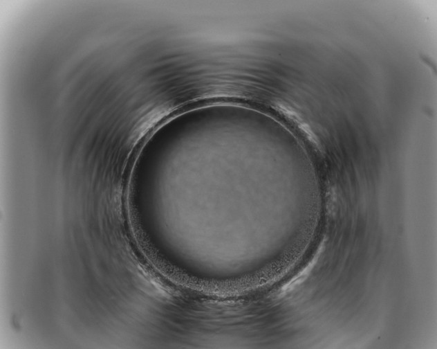 X0000094931121200711291328