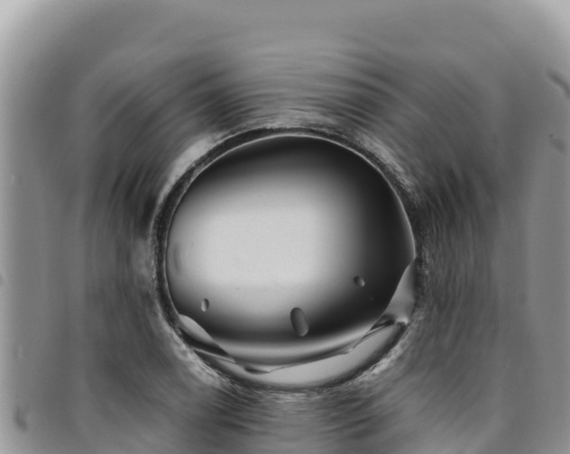 X0000094931122200711291328