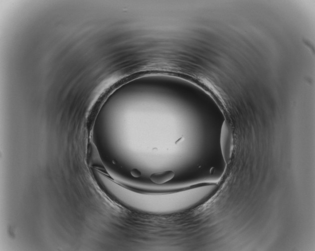 X0000094931123200711291328