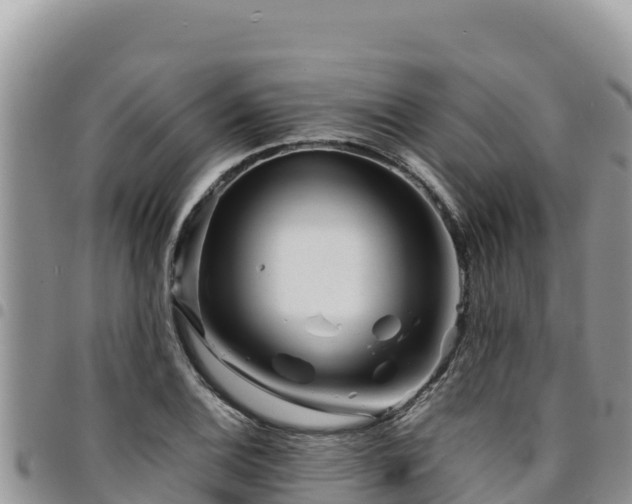 X0000094931124200711291328
