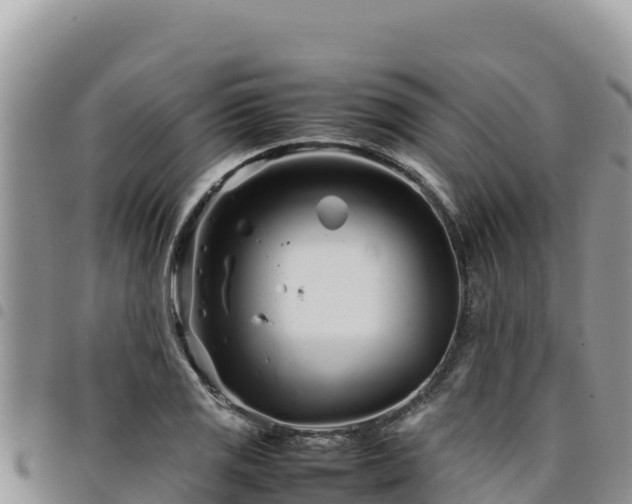 X0000094931125200711291328