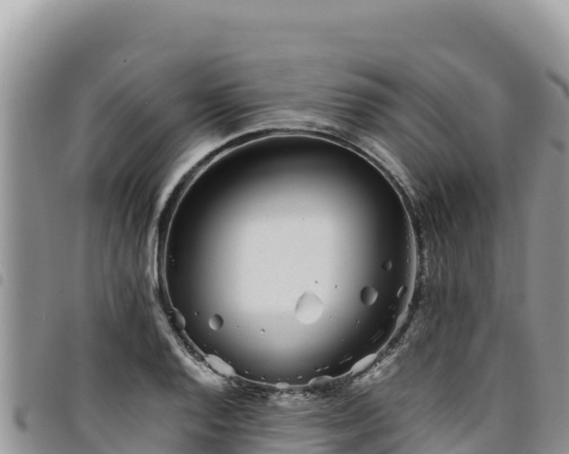 X0000094931128200711291329