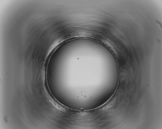 X0000094931130200711291329