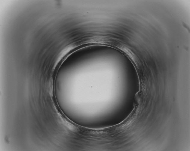 X0000094931131200711291329