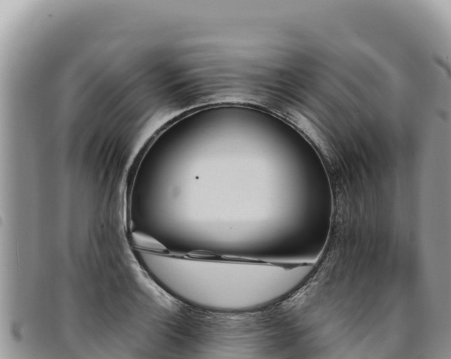 X0000094931132200711291329