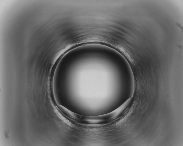 X0000094931134200711291329