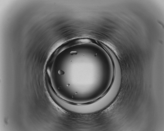 X0000094931135200711291329