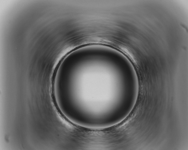 X0000094931136200711291329