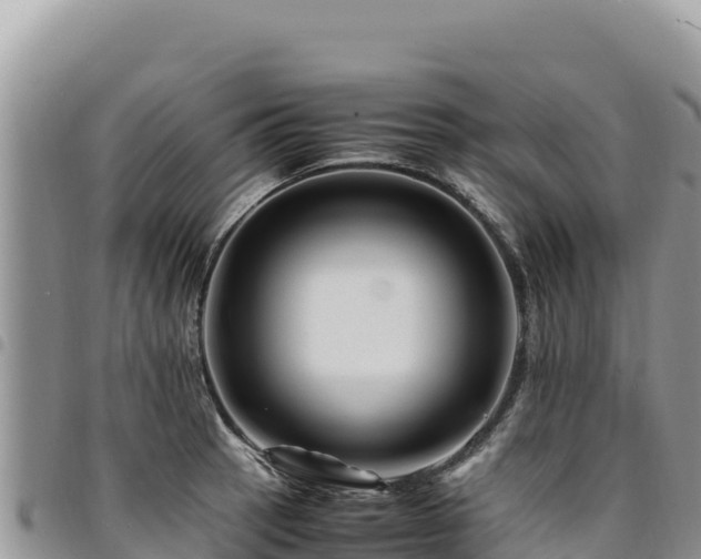 X0000094931137200711291329