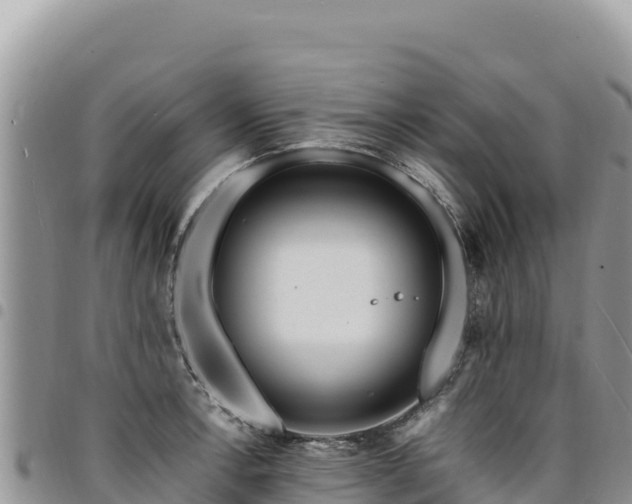 X0000094931138200711291329
