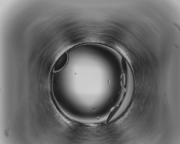 X0000094931141200711291329