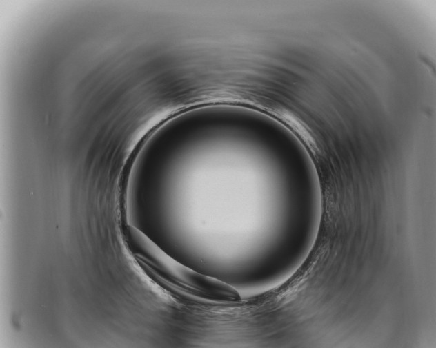 X0000094931142200711291329