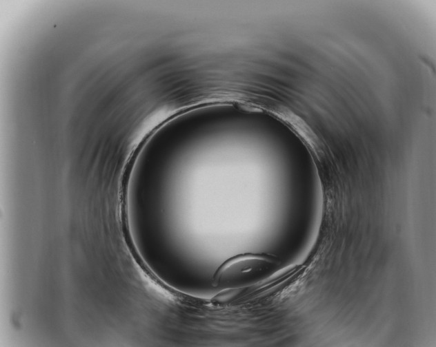 X0000094931143200711291329