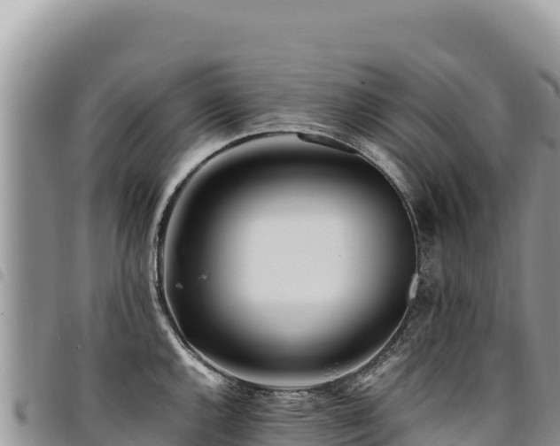 X0000094931144200711291329