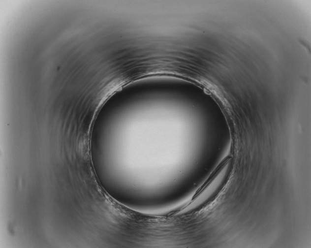 X0000094931145200711291329