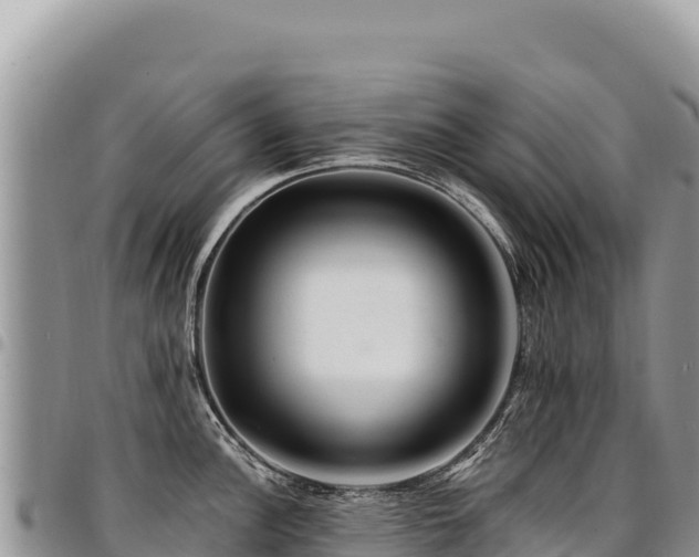 X0000094931148200711291329