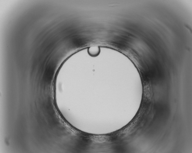 X0000094931150200711291329