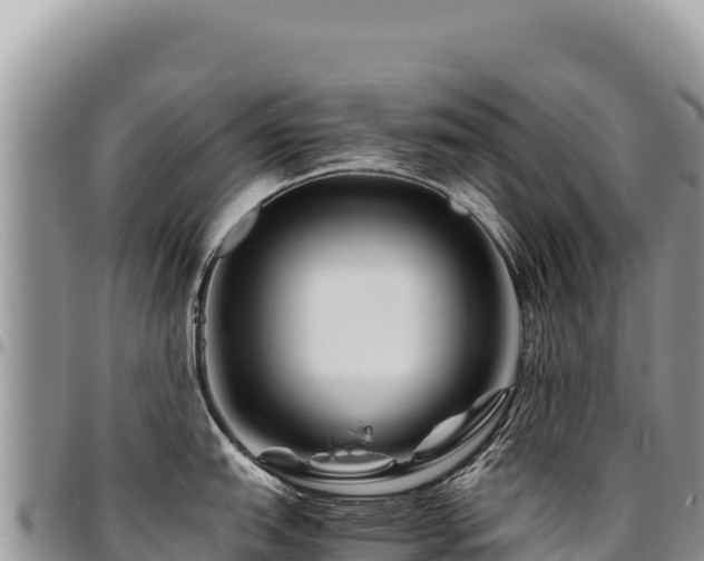 X0000094931151200711291329